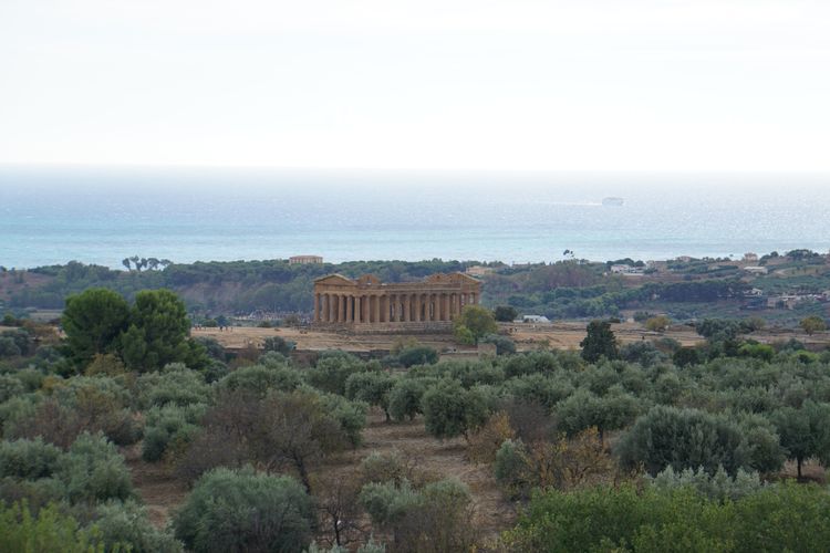 View on Temple of Concordia
