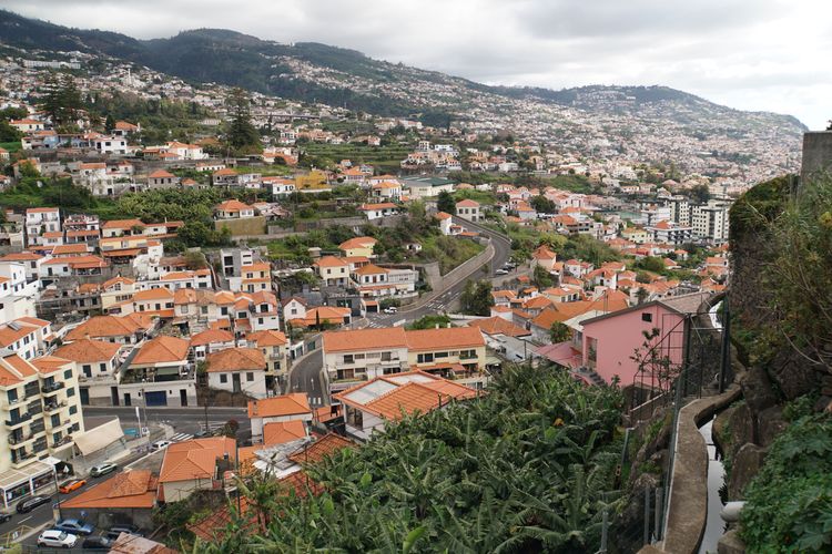 Finchal City Levada