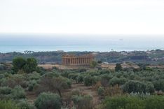 View on Temple of Concordia