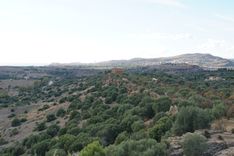 View over Valley with Agrigento in Background