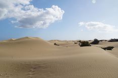 Maspalomas Dunes