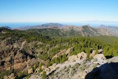 View from Pico de las Nieves
