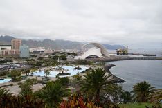 View on Santa Cruz from Palmetum