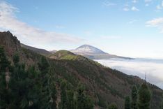 Teide from TF-24 road