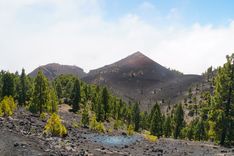 Ruta de los Volcanes