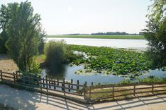 Waterfront Paths