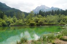 Zelenci Nature Reserve