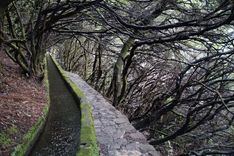 Levada das 25 Fontes