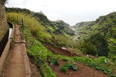 Levada do Moinho