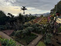 Botanic Gardens