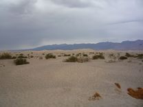 Mesquite Flat Sand Dunes